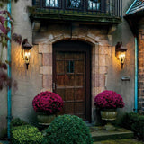 Kichler Venetian Rain 3 Light Large Wall Lantern