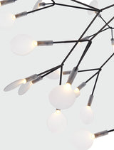 Moooi Heracleum III Large Nickel Chandelier –  from Amos Lighting + Home