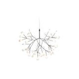 Moooi Heracleum III Small Nickel Chandelier –  from Amos Lighting + Home