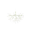 Moooi Heracleum III Suspended Large Green Chandelier –  from Amos Lighting + Home