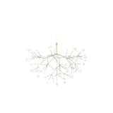 Moooi Heracleum III Suspended Large Green Chandelier –  from Amos Lighting + Home