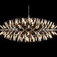 Moooi Raimond II, Zafu 75 Chandelier –  from Amos Lighting + Home