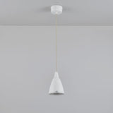 Original BTC Hector Pendant Size 1 –  from Amos Lighting + Home