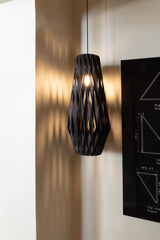 Pilke Signature 30/70 Pendant Black –  from Amos Lighting + Home