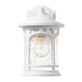 Quoizel Marblehead 1 Light Small Wall Lantern White