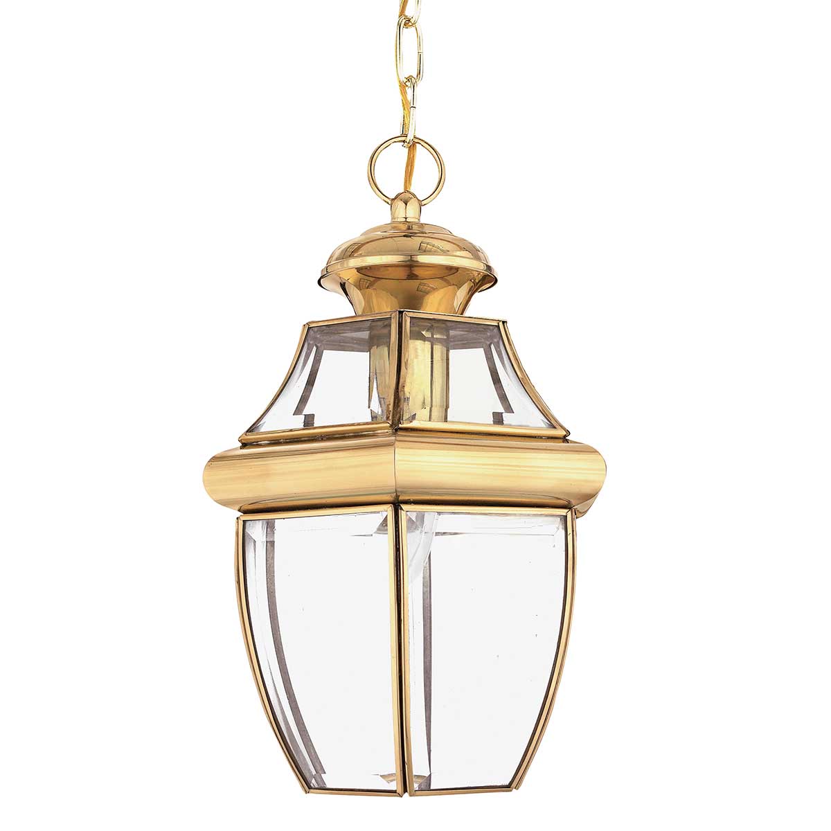 Quoizel Newbury 1 Light Medium Chain Lantern