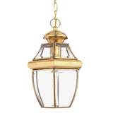 Quoizel Newbury 1 Light Medium Chain Lantern