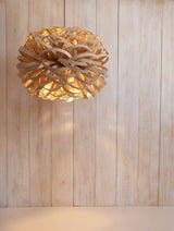 Stuart Lamble Allium Pendant –  from Amos Lighting + Home