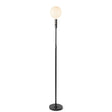 Tala Poise Adjustable Floor Lamp Graphite –  from Amos Lighting + Home