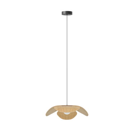 Umage Forget Me Not Wood Pendant Medium, Oak –  from Amos Lighting + Home